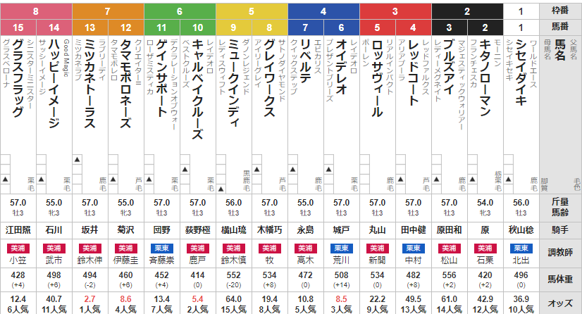 日曜新潟9R 3歳未勝利　予想