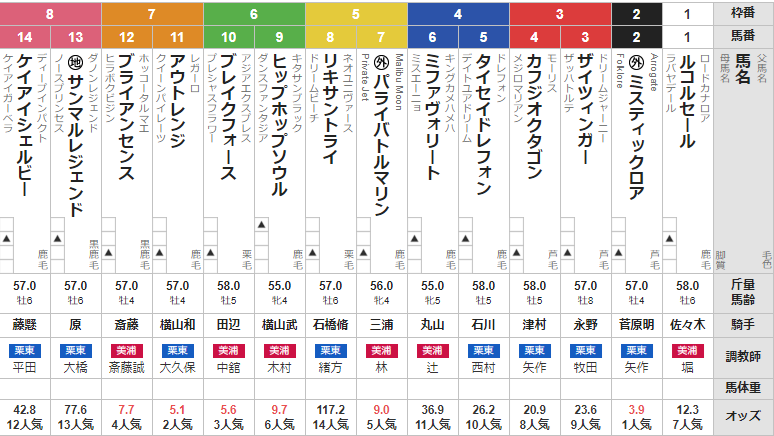 日曜中山11R ラジオ日本賞　予想