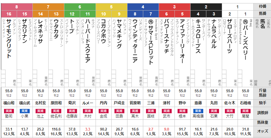 土曜中山5R メイクデビュー中山　予想