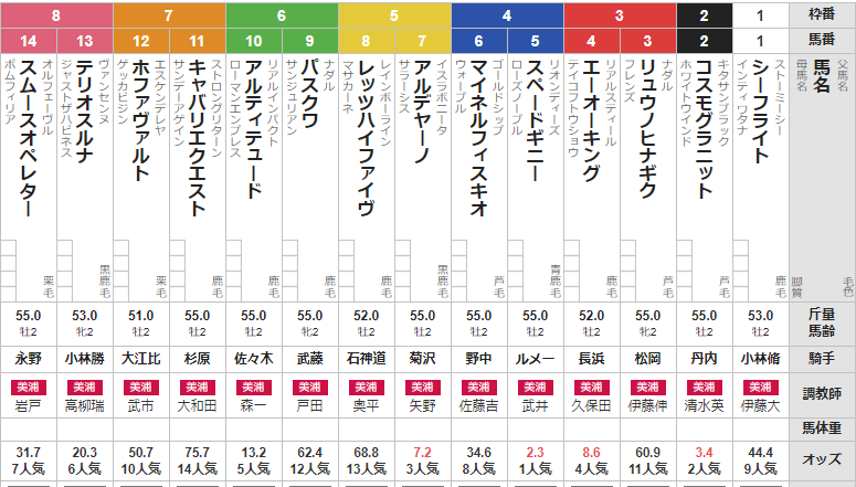 日曜中山5R メイクデビュー中山　予想