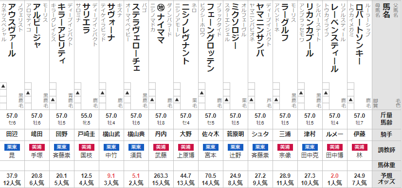 オールカマー 2024 出走馬全頭分析