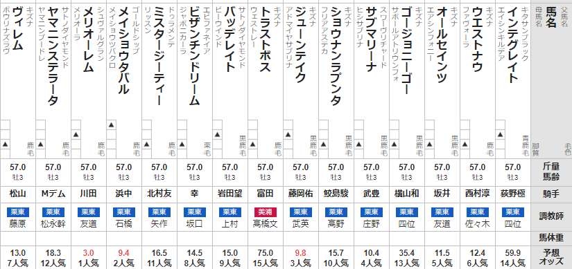 神戸新聞杯 2024 出走馬全頭分析