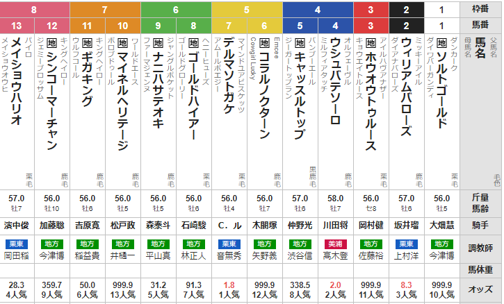 水曜船橋11R 日本テレビ盃　予想　～3連単67.7倍的中！！～