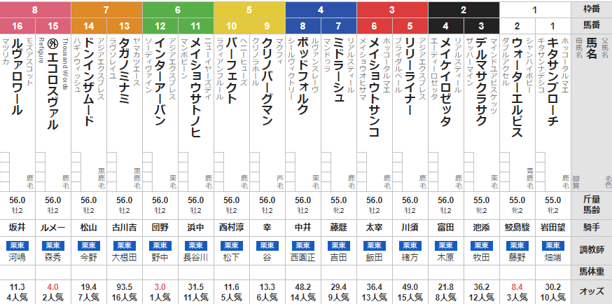 土曜京都4R メイクデビュー京都　予想