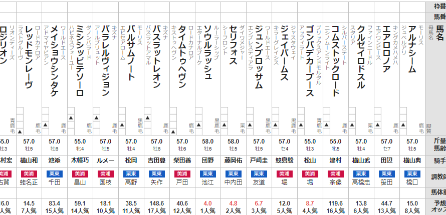 富士S 2024 出走馬全頭分析