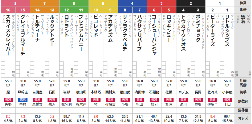 日曜東京4R メイクデビュー東京　予想