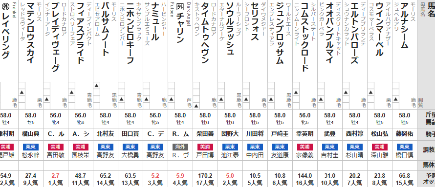 マイルチャンピオンシップ 2024 出走馬全頭分析