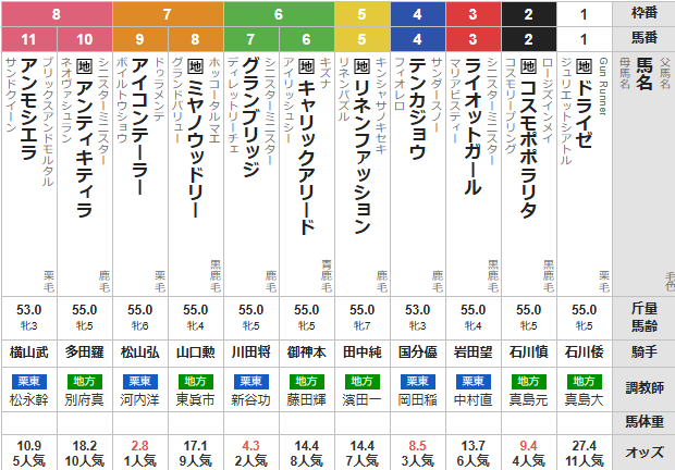 月曜佐賀9R JBCレディスクラシック　予想