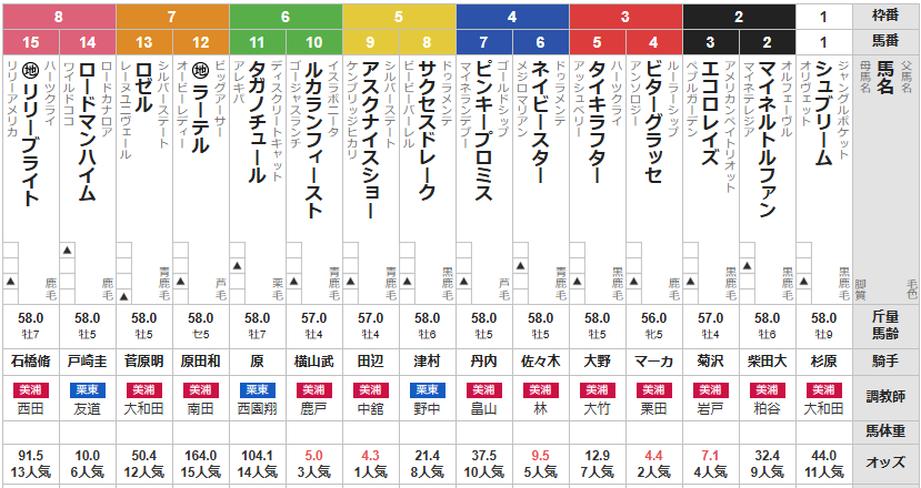 月曜中山10R 初日の出賞　予想