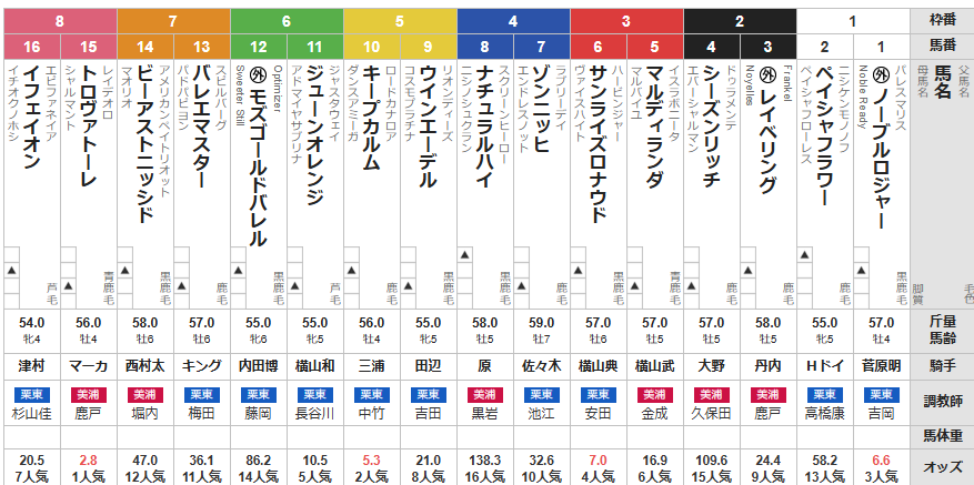 月曜中山11R ニューイヤーS　予想