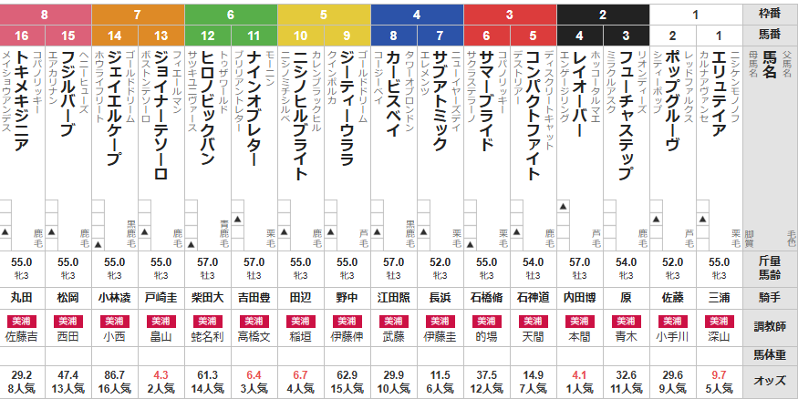 土曜中山3R 3歳未勝利　予想