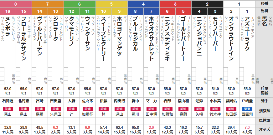 日曜中山3R メイクデビュー中山 予想