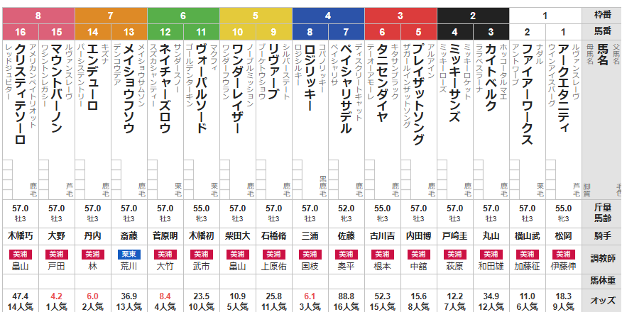 土曜中京3R メイクデビュー中京　予想　～3連複100.9倍！万馬券的中！～