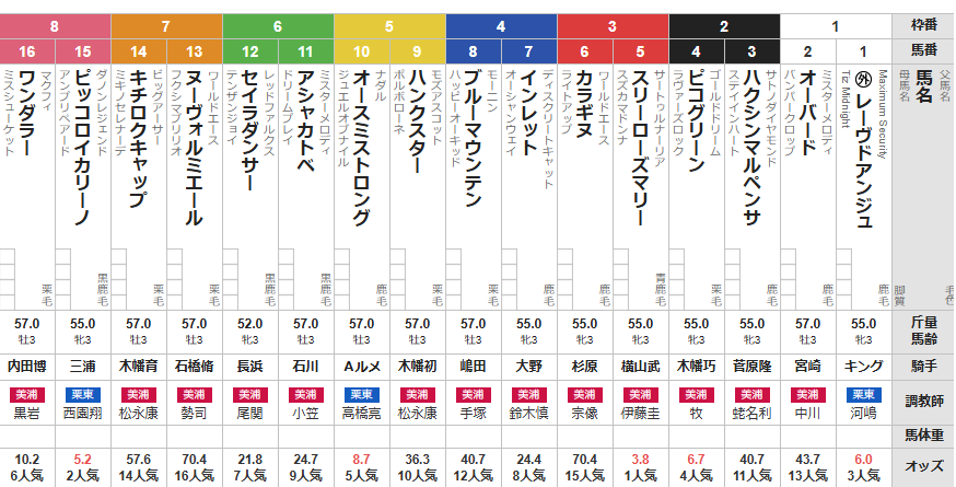 日曜中山4R メイクデビュー中山　予想