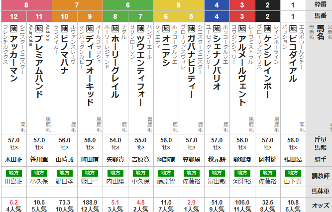 水曜浦和11R ニューイヤーカップ　予想