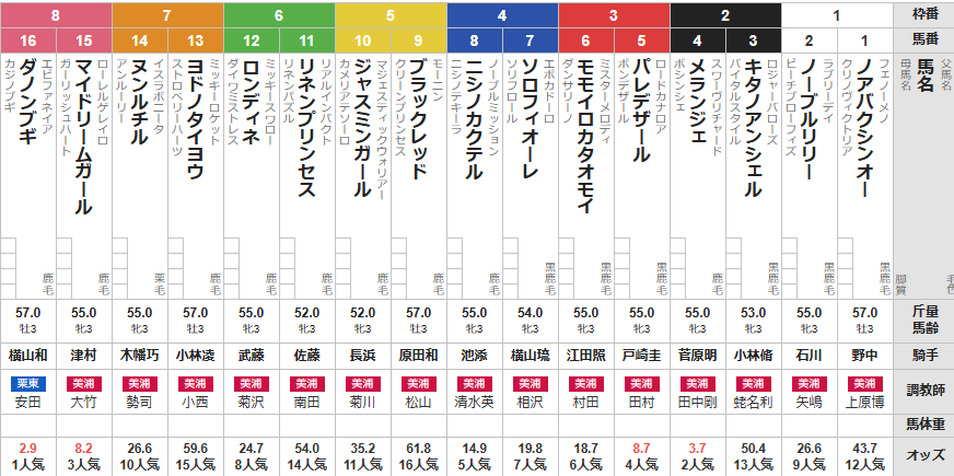 日曜東京5R メイクデビュー東京　予想