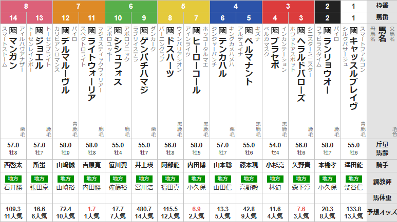 水曜川崎11R 報知オールスターカップ　予想