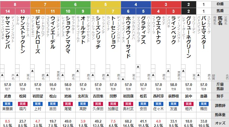 日曜阪神11R 大阪城ステークス　予想　~3連複19.0倍的中～